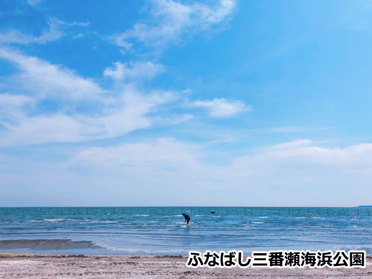 浦安　三番瀬